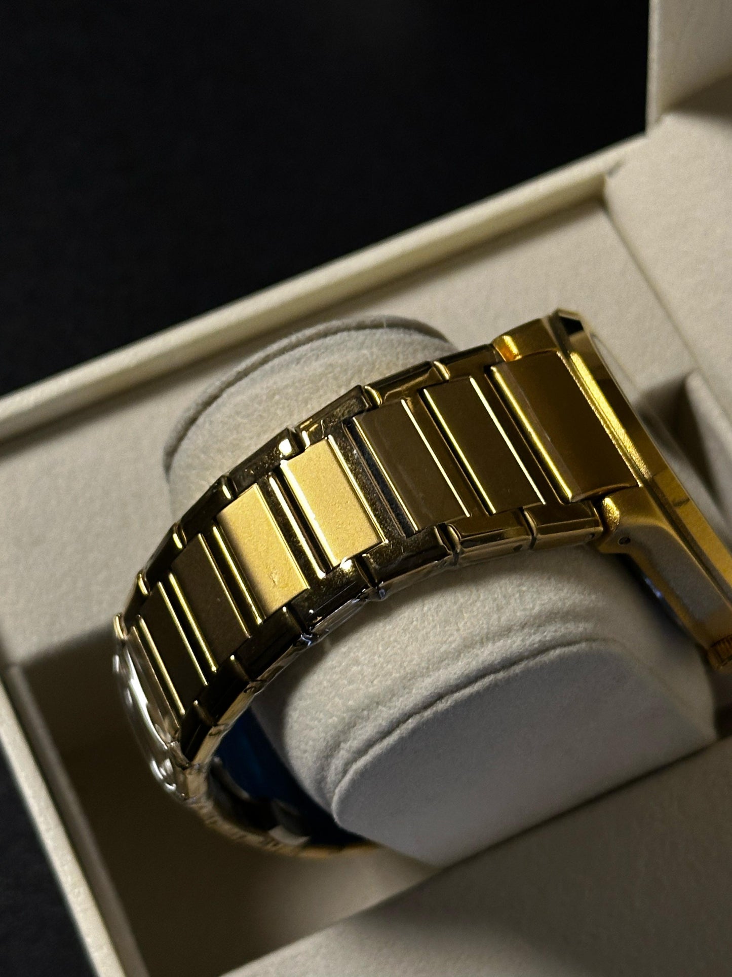 Fitron Watch
